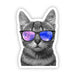 Cat Sunglasses Sticker - DiscoSports
