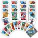 NFL Super Bowl Playing Cards - DiscoSports