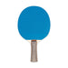 Champion Sports Rubber Face Paddle PN1 - DiscoSports